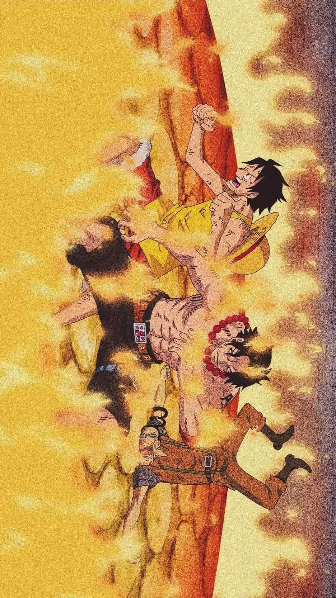 One Piece 3